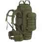 Preview: Wisport - Raccoon 65 Liter Rucksack - Olive Green